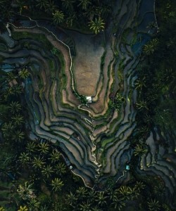 An overview of mountain terraces