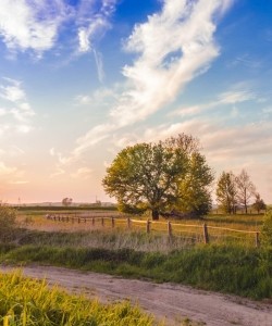 A view of an open field